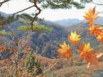 爱上海：You can choose to stroll along the tranquil lake shore
