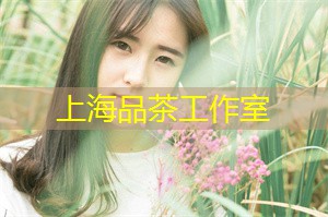 上海新茶工作室微信：能感受到大自然的和谐之美