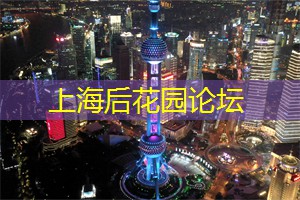 爱上海：不可思议的玩法！上海会所自带VIP游戏厅，让你畅享奢华！